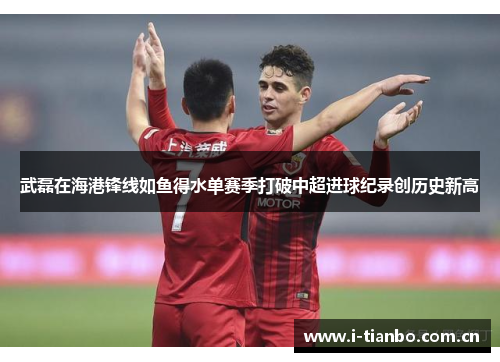 武磊在海港锋线如鱼得水单赛季打破中超进球纪录创历史新高